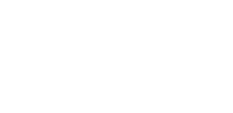 nvidia Logo