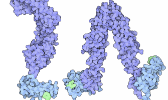 Graph Neural Networks for Binding Affinity Prediction