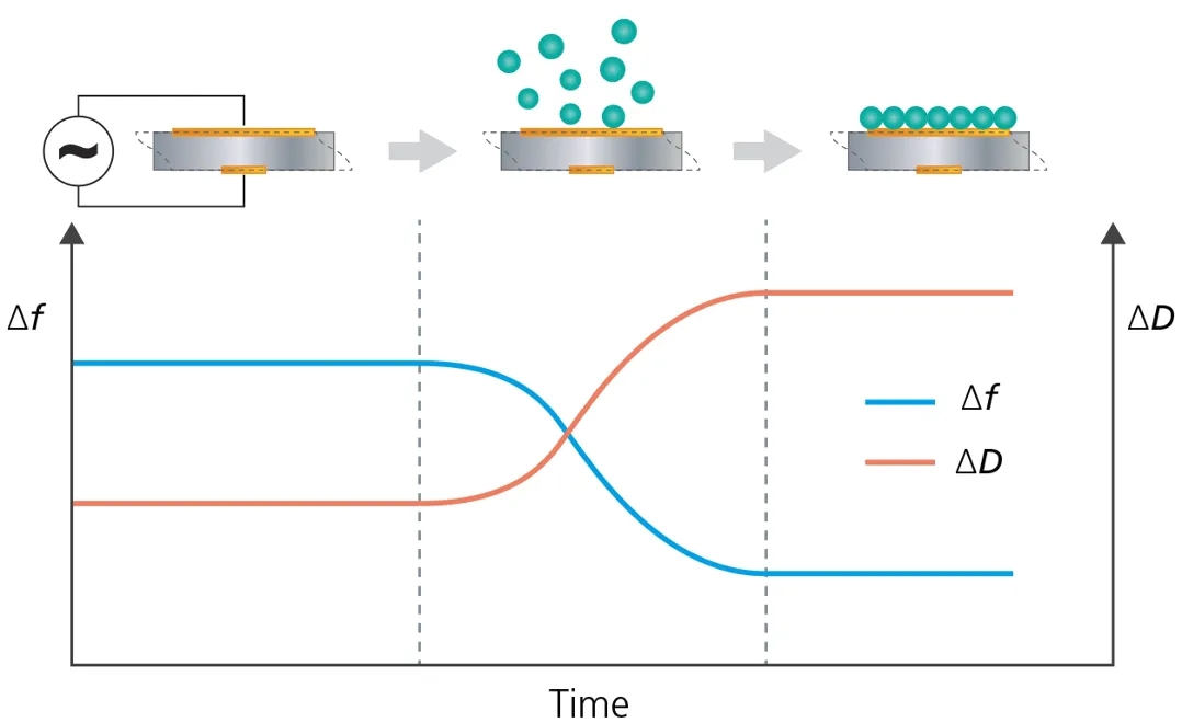 Streamlining Biomolecular Interaction Analysis for the Scientific Equipment Manufacturer